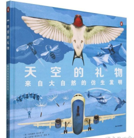 天空的礼物：来自大自然的仿生发明
